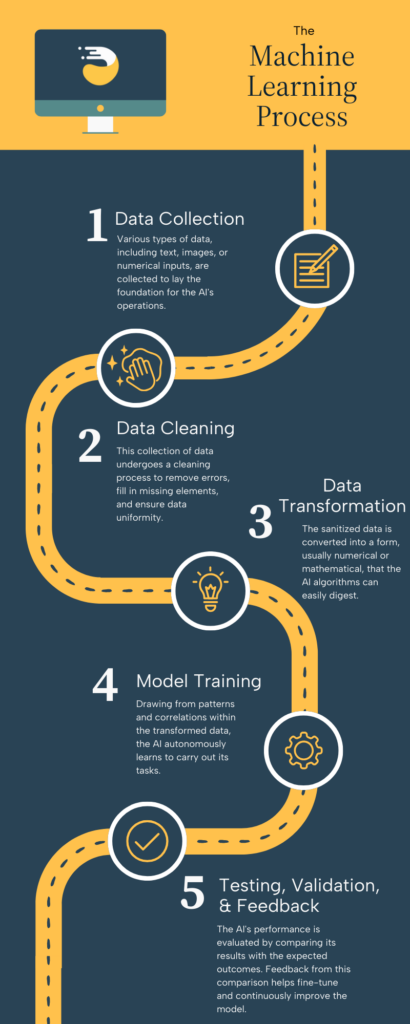 Detailed infographic on machine learning